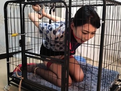 Girl in Cage